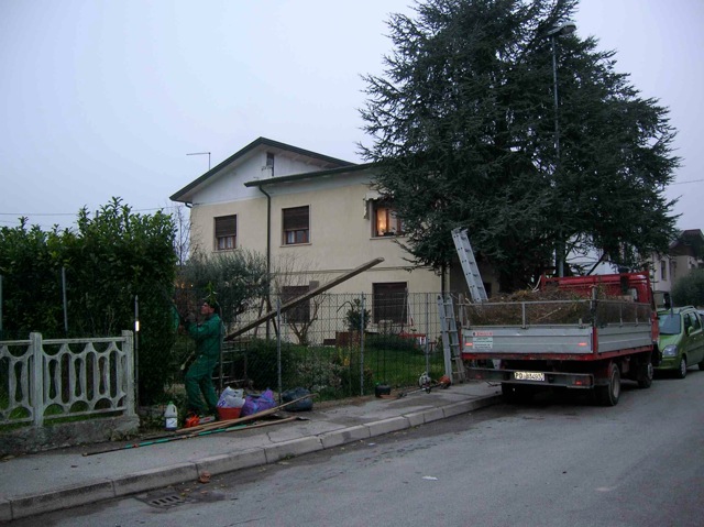 Loading Image