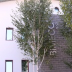 il logo