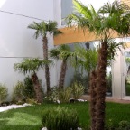 il patio visto da terra