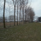 area oggetto d'intervento
